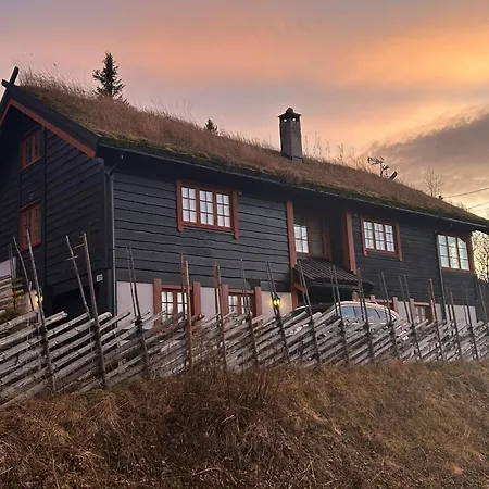 Feriehus Spacious With Beautiful Views Geilo