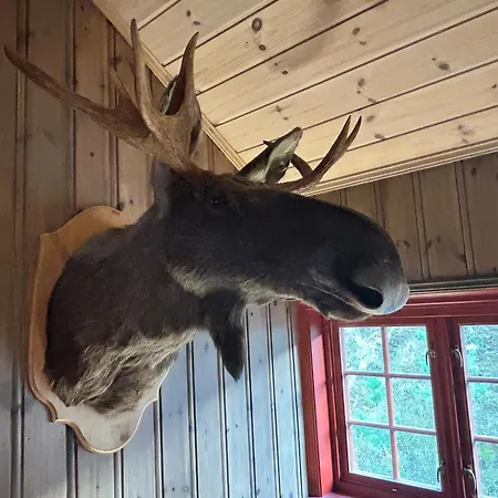 Spacious With Beautiful Views *